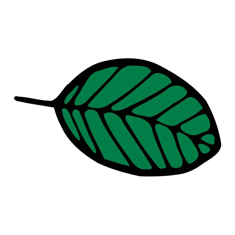 Blatt, Laub, Baum, Herbst