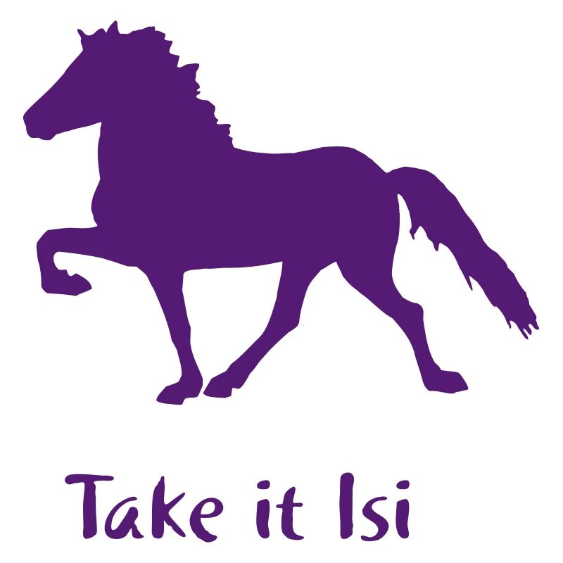 Islandpferd - Take it Isi