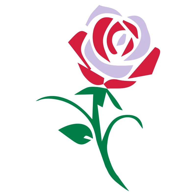 rose