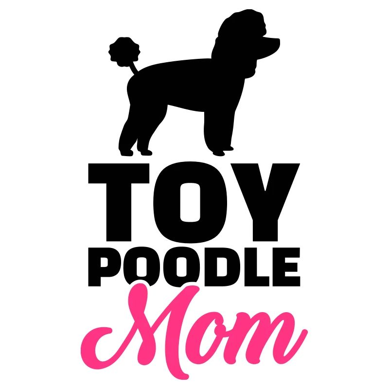Toy Caniche