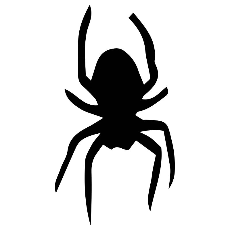 Spinne
