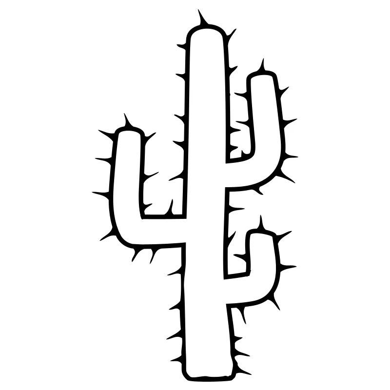 large cactus desert thorn
