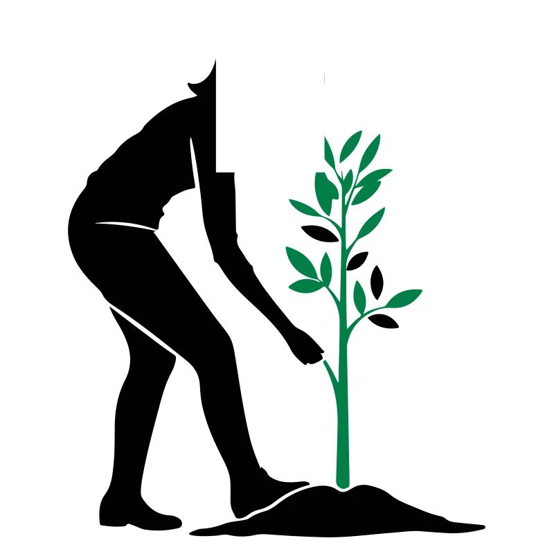 Tree Plants Nature Conservation