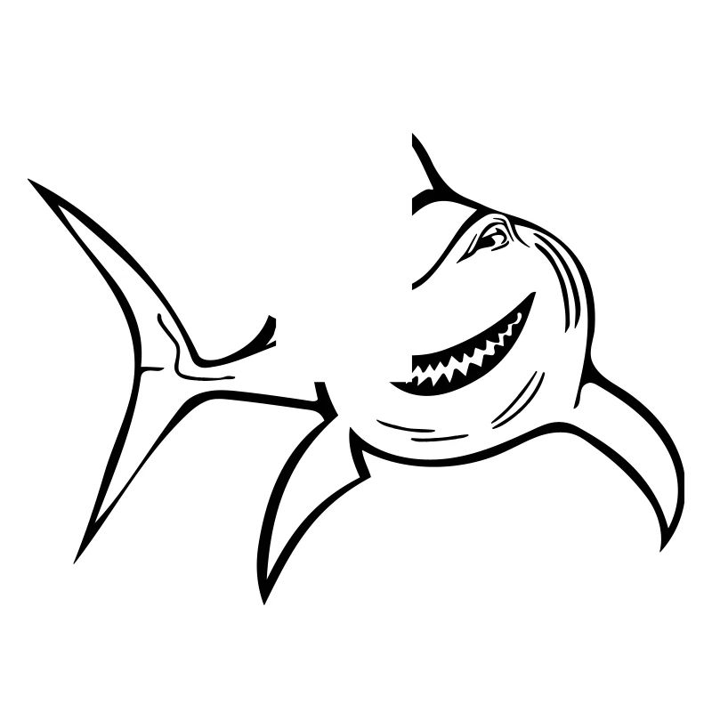 Requin drôle