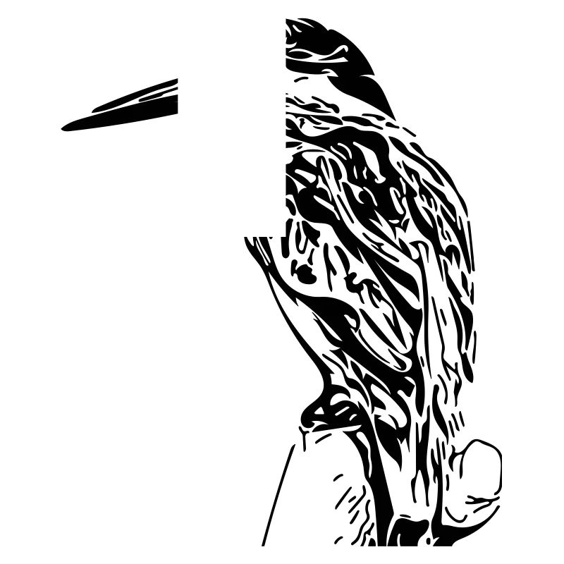 martin-pêcheur