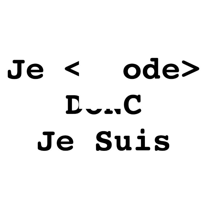 Ich programmiere, also bin ich Informatiker und Programmierer