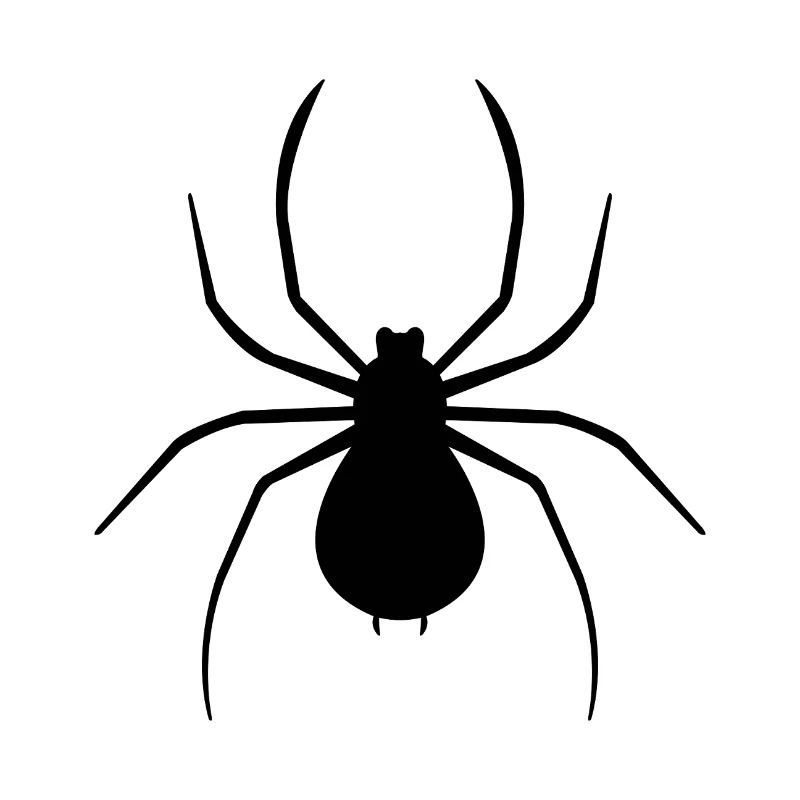 spider