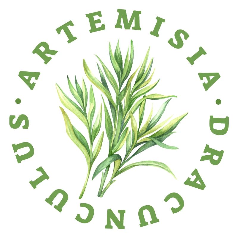 Artemisia Dracunculus Blattemblem