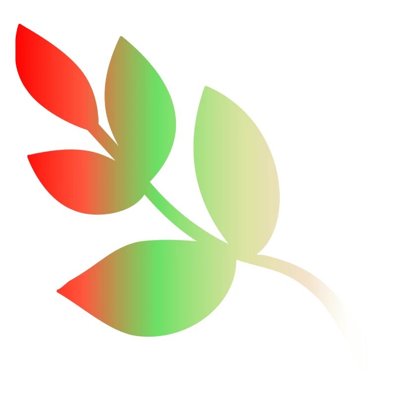 LEAF. NATURE. ECOLOGY. ORGANIC. TREE. MESSAGE