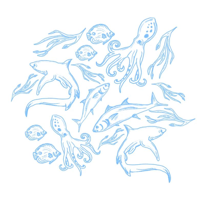 Marine Patterns