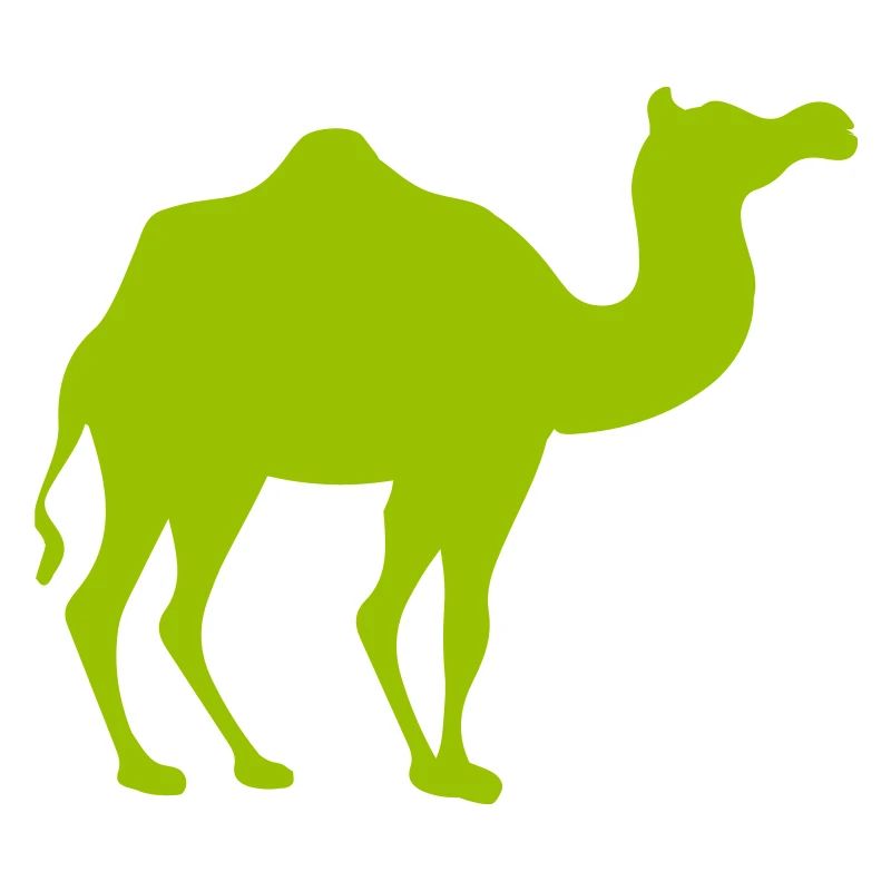 Glowing Camel Silhouette