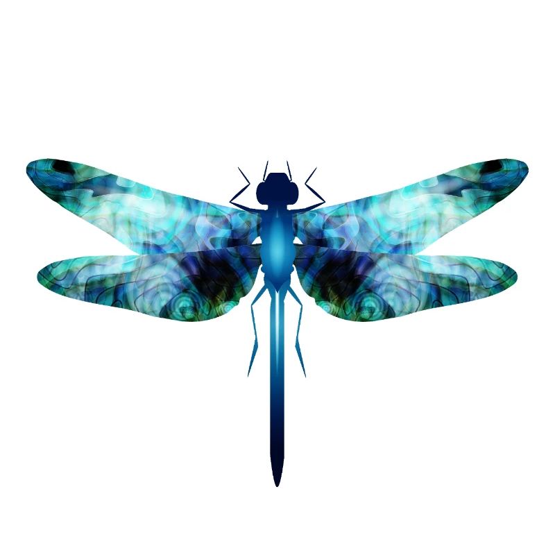 Libellule irisée dans les tons bleu-vert