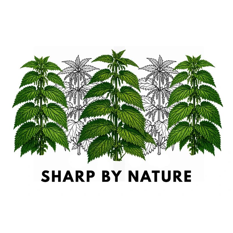 Stinging nettle is sharp by nature