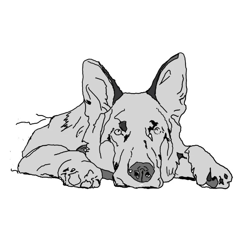 Schäferhund