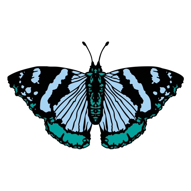 Papillon papillon