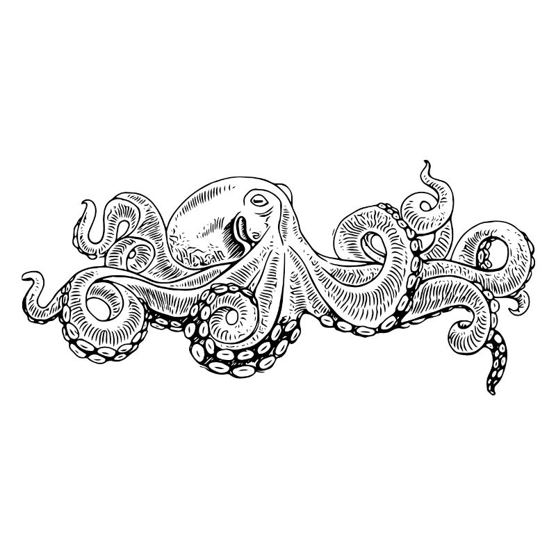 Octopus - Octopus Black Pattern