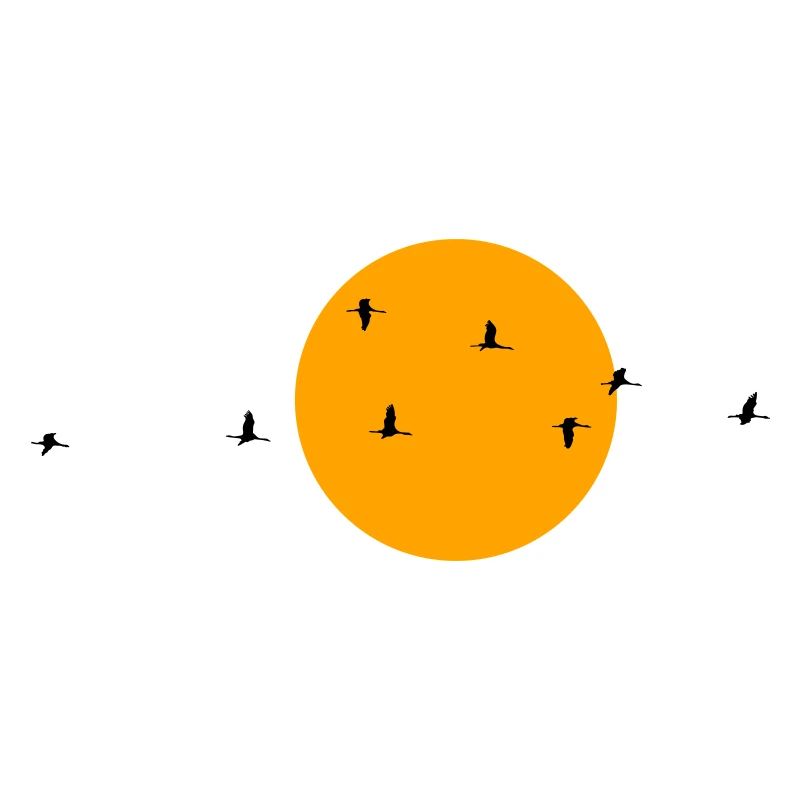 Wild Geese Cranes Spring