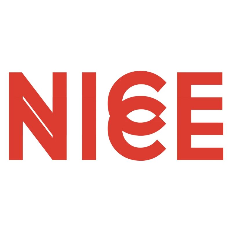 Nice Nice