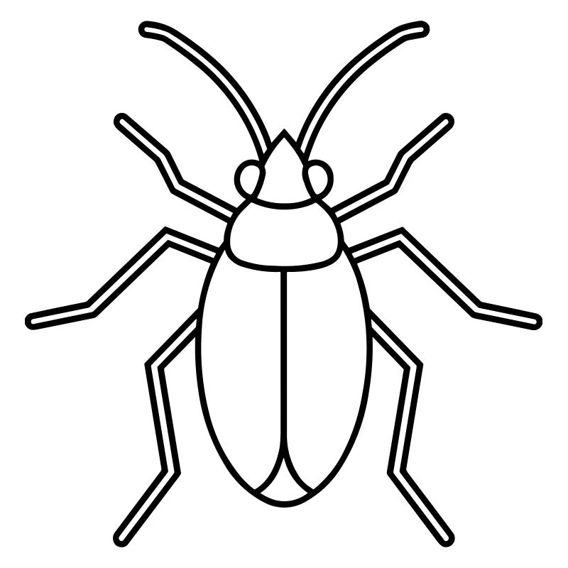 puceron