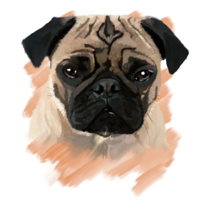 mops