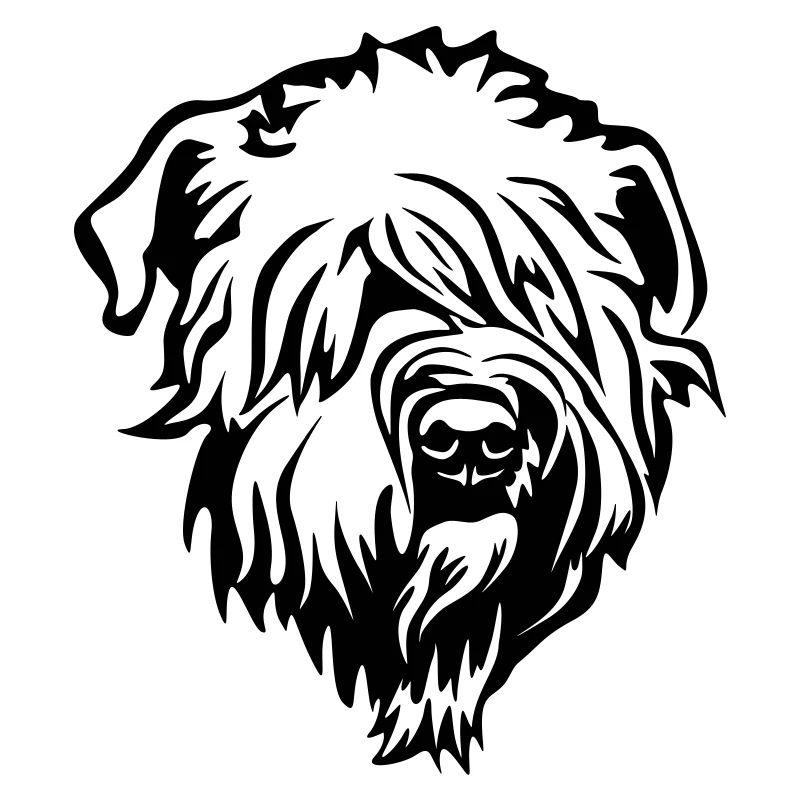 Wheaten Terrier Kopf