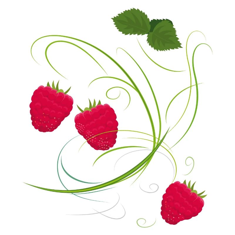 Raspberry, Fruit