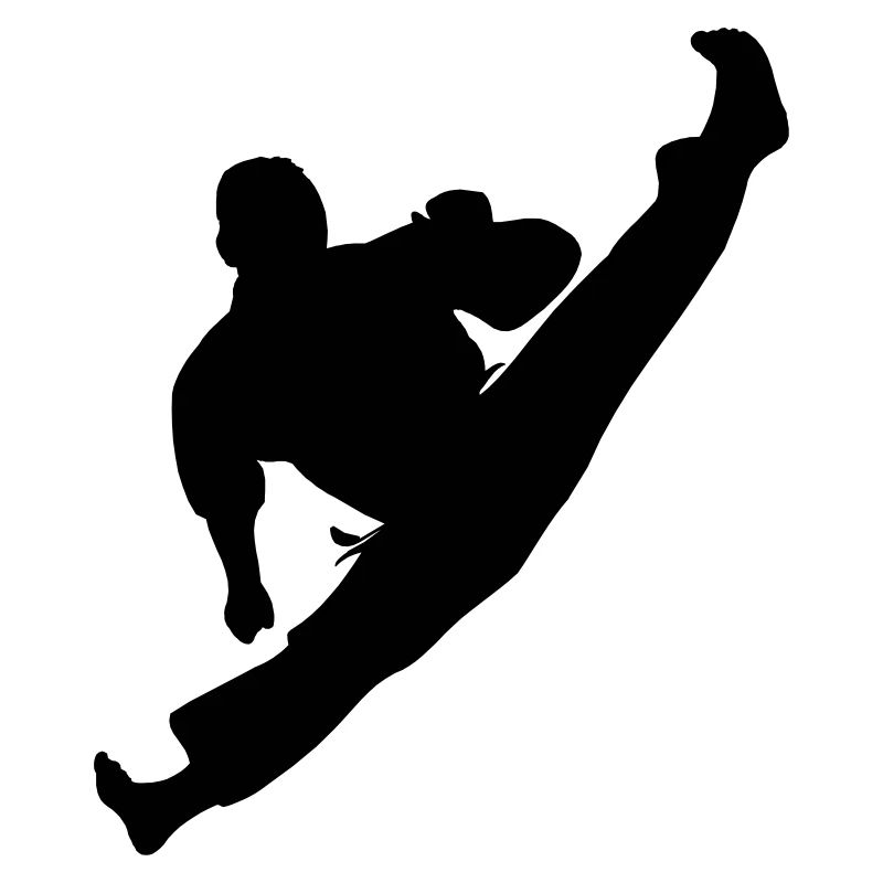 Jumpkick Geri Kick Karate oder Teakwondo