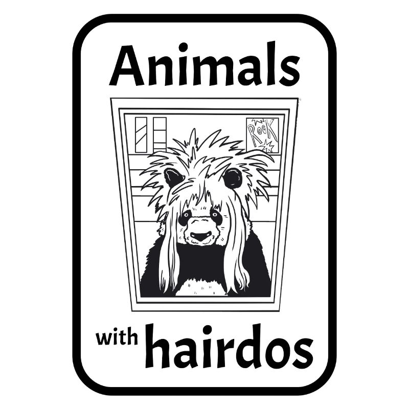 Panda avec coiffure