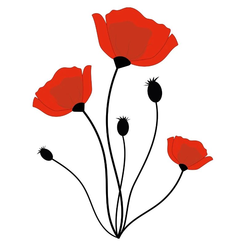 Mohnblume