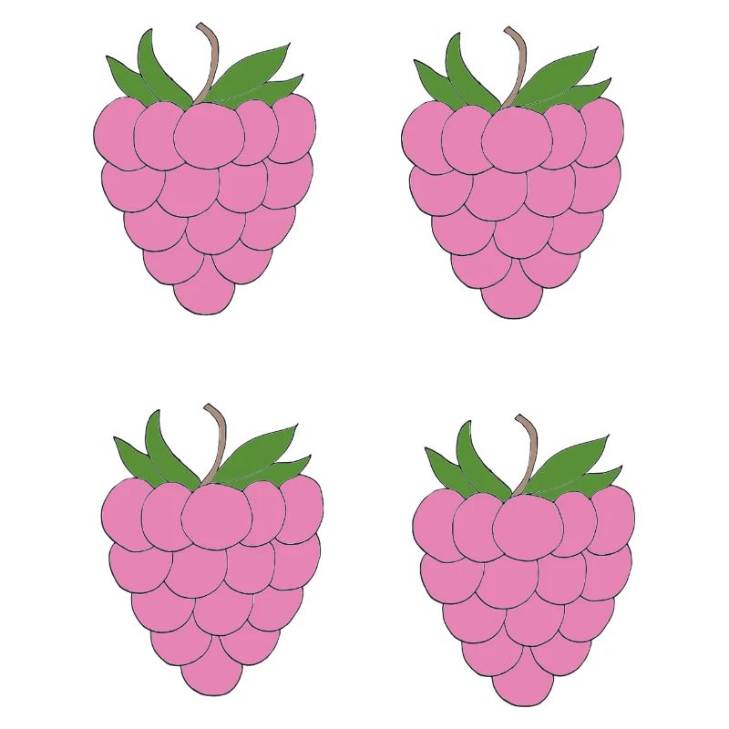 Motif de double grappe de framboise