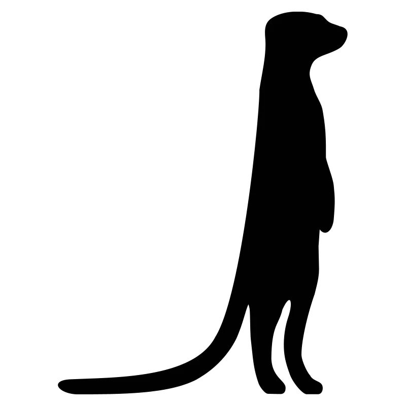witziges Erdmännchen neugierig tierisch