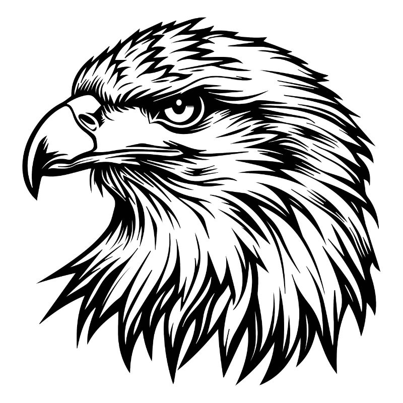 Eagle Eagle Head