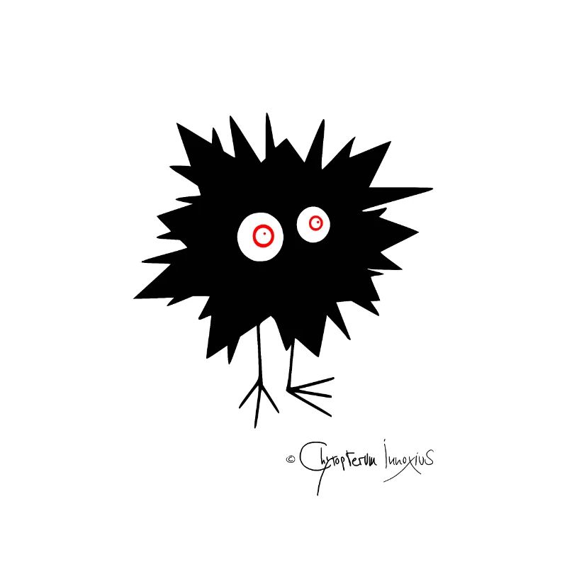 Woolly Beastie flashed © Chyropterum Innoxius