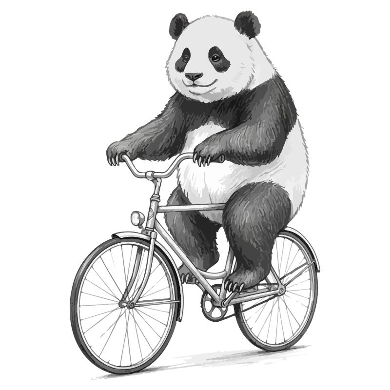 Panda on Bicycle