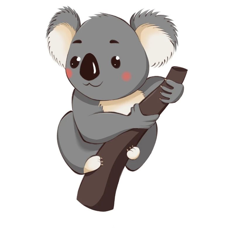 Koala
