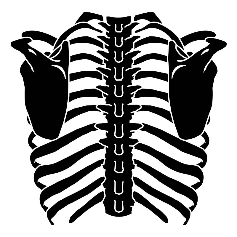 Ribcage (Back side)