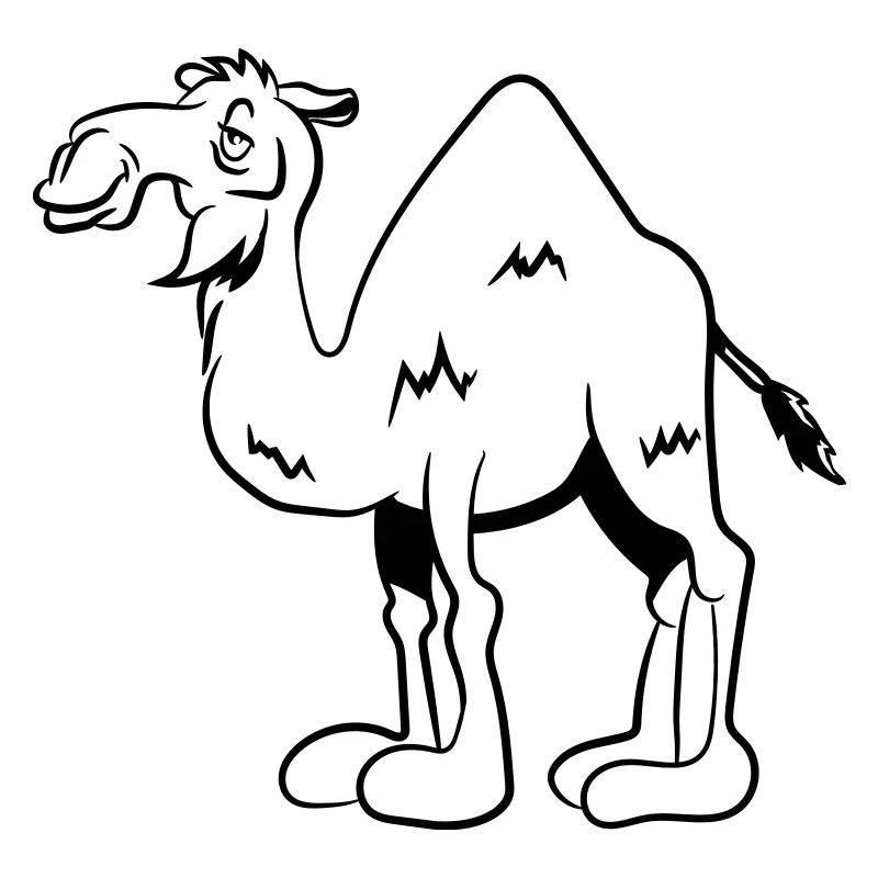 Camel witty stupid