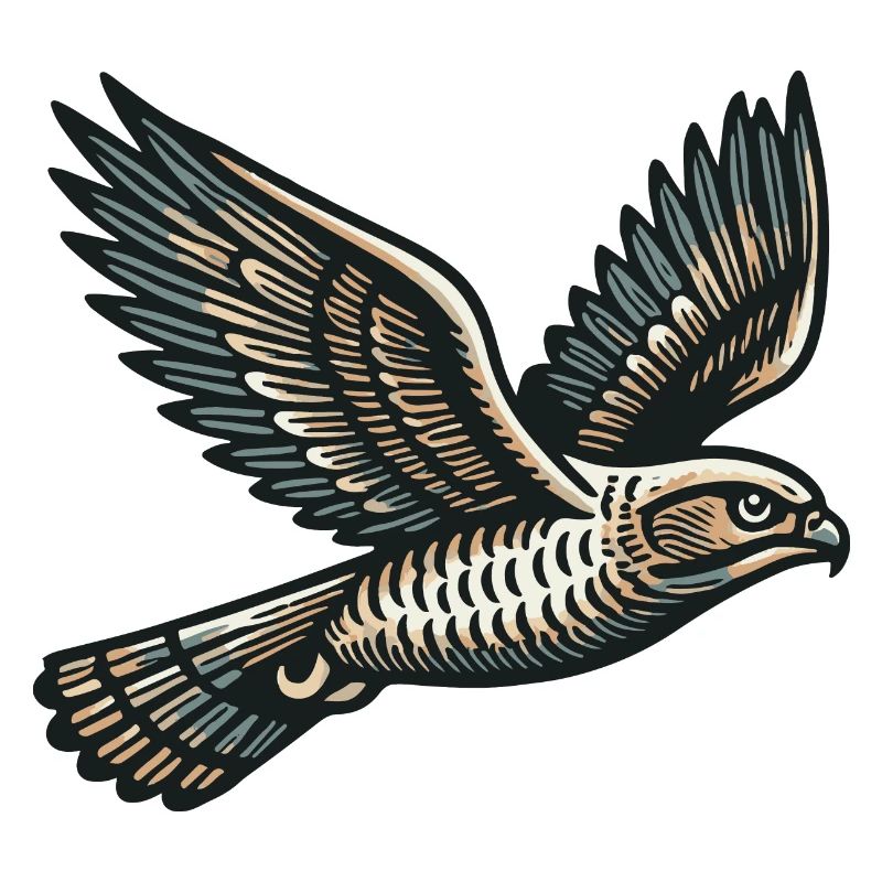 Hawk