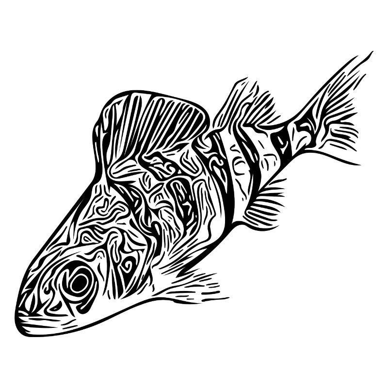 Perch Fish Design for Predatory Fish Anglers