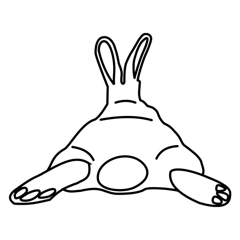 rabit
