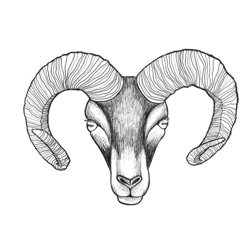 widderkopf