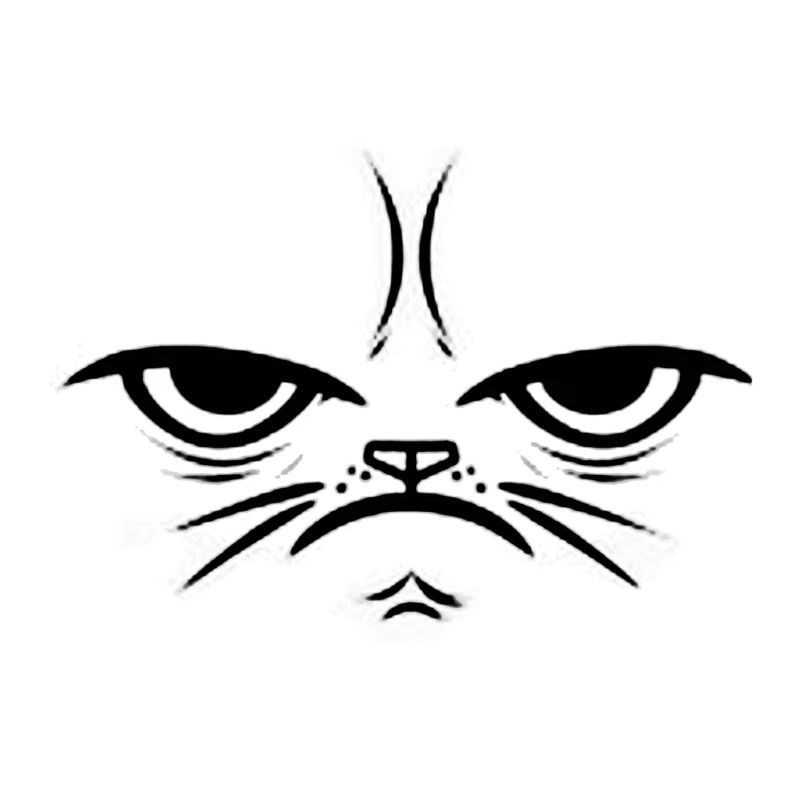 Crumpy Cat - Gift Gift Idea Face