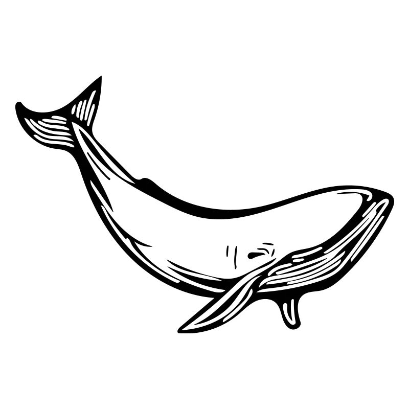 baleine