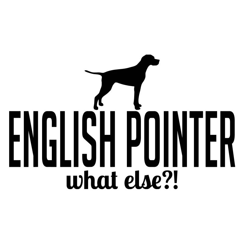ENGLISH POINTER what else