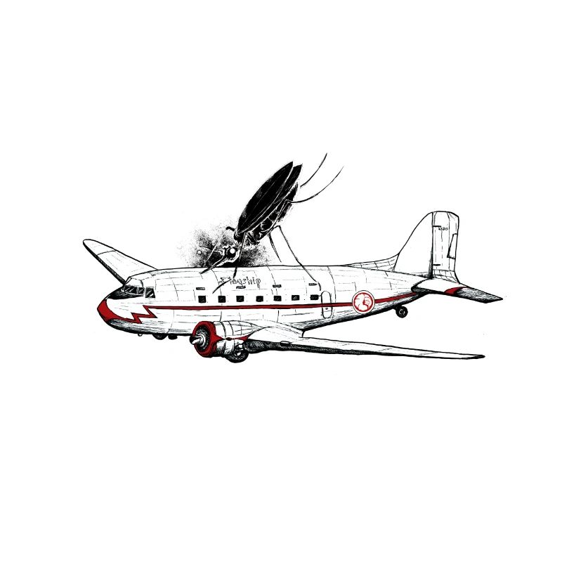 gnat bite
