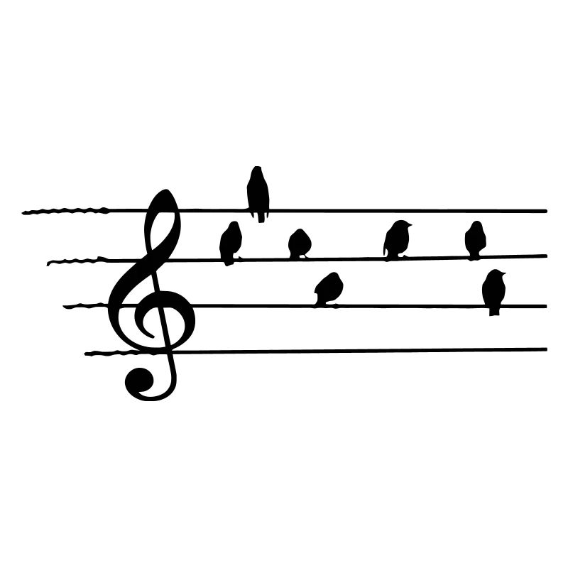 Musique - Treble Clef - les oiseaux que les notes
