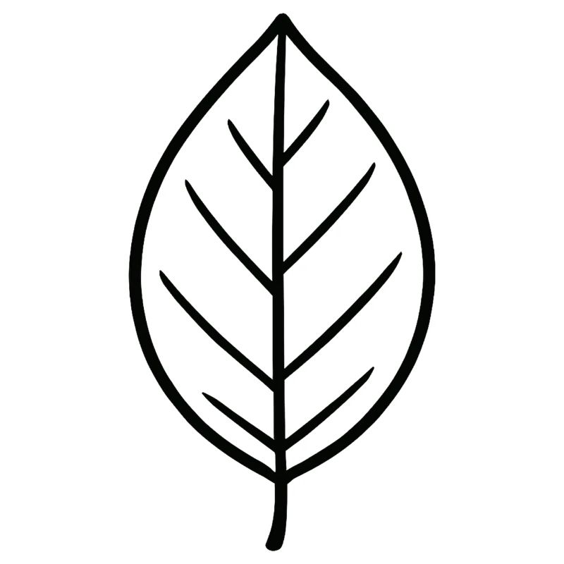 Conception minimaliste Leaf