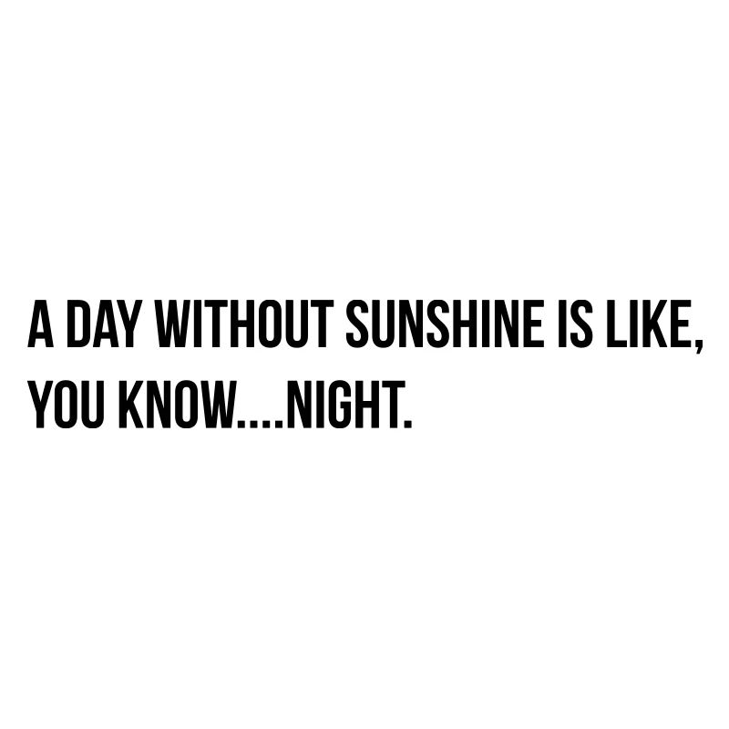 a day without sunshine