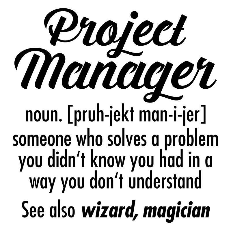 Project Manager - Definition