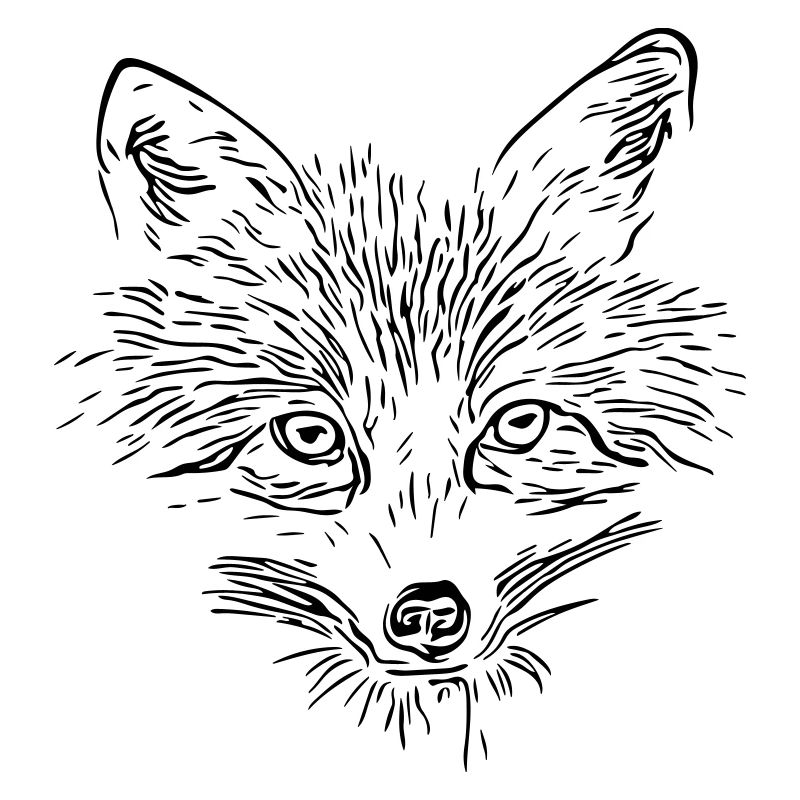 Fox Face - Fox Face